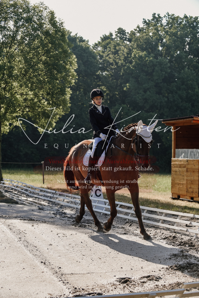 DSC_7688 | Pferde- und Turnierfotografie in Westsachsen. Pferdeportraits, Auftragszeichnungen und intuitive Kunst.