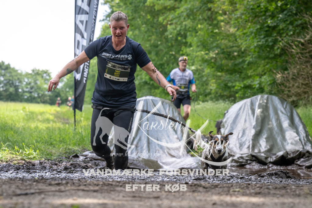 1246_ZZ93376 | kk-dogfotos