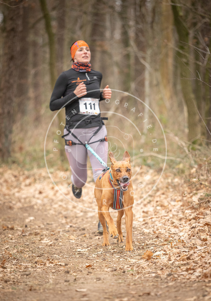 Pfotenfotografie_DV3A7693 | Hundefotografie, Tierfotograf, Pfotenfotografie, Fotoshooting Hund, Hunde Portrait, Hundesport, Hundeportraits, Heideshooting, Hunde, Sportfotograf, Hundefotograf, Turnierhundsport, THS,  - Realisiert mit Pictrs.com