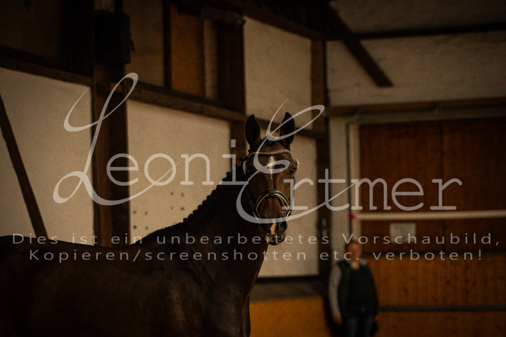 1FS_L00022 | Leoni Ertmer Photography - Realisiert mit Pictrs.com