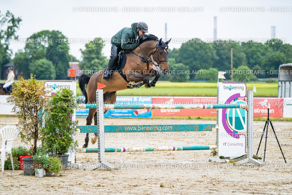 DSC03530 | Pferdegrafie