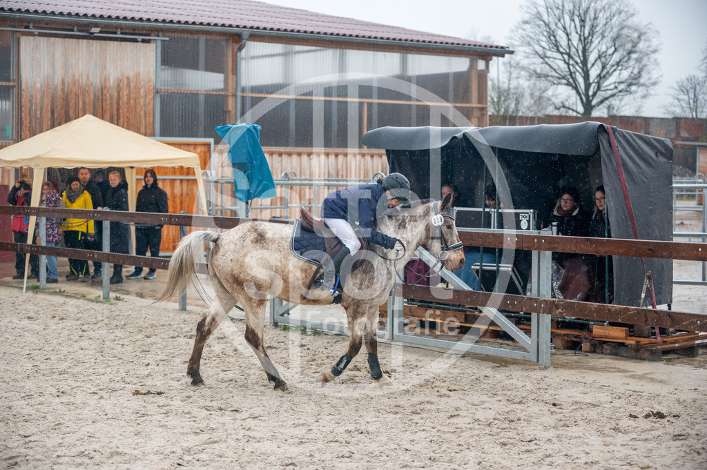 DSC_7839 | sattelsport - Realisiert mit Pictrs.com