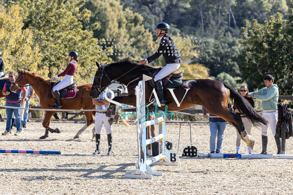 IMG_6372 | s-jay-photography - Realisiert mit Pictrs.com