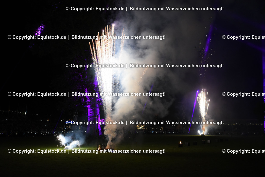 20230526_Pferdenacht_1635 | equistock