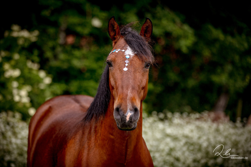 846A0566web | fotosleben - Realisiert mit Pictrs.com