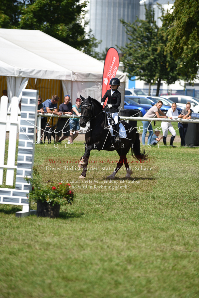 DSC_9977 | Pferde- und Turnierfotografie in Westsachsen. Pferdeportraits, Auftragszeichnungen und intuitive Kunst.