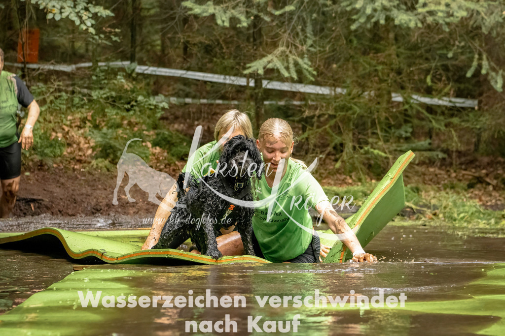 1226_ZZ94608-Bearbeitet | kk-dogfotos