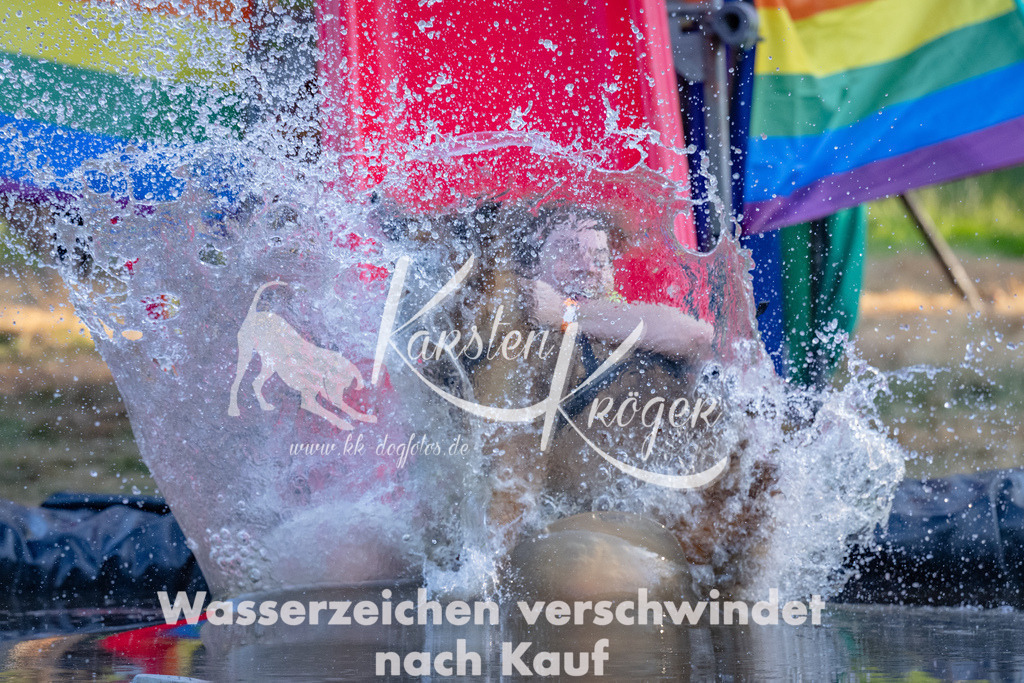 1834_ZZ91099 | kk-dogfotos