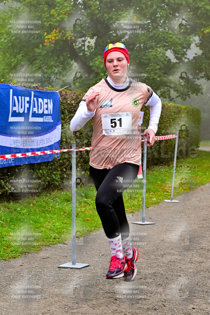 Z8N_2326 | la-psv - Realisiert mit Pictrs.com