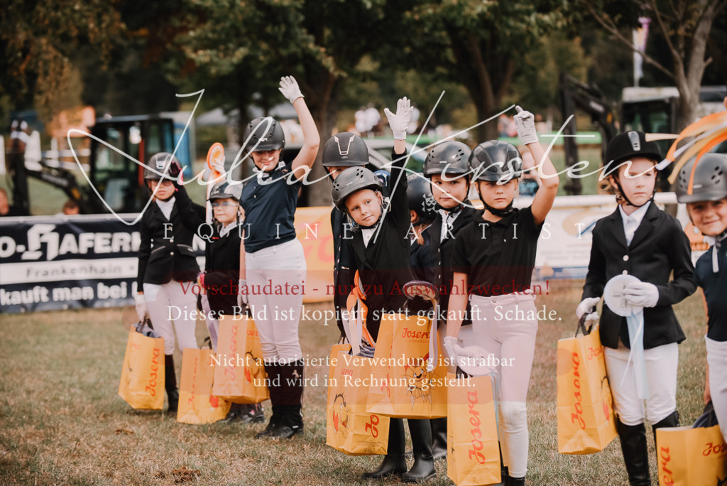DSC_6396 | Pferde- und Turnierfotografie in Westsachsen. Pferdeportraits, Auftragszeichnungen und intuitive Kunst.