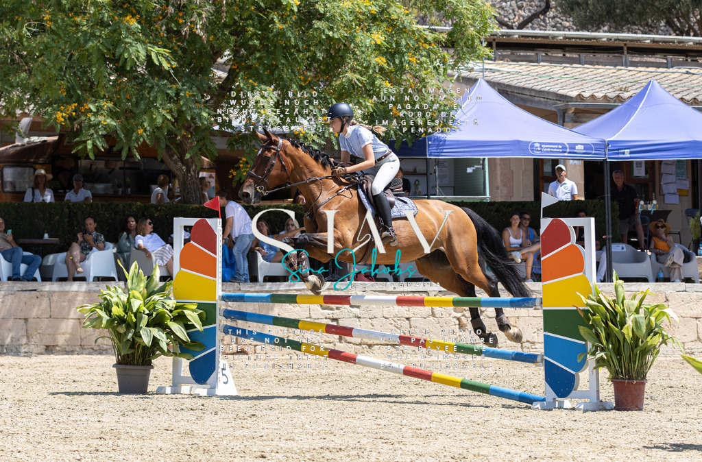 IMG_6140 | s-jay-photography - Realisiert mit Pictrs.com