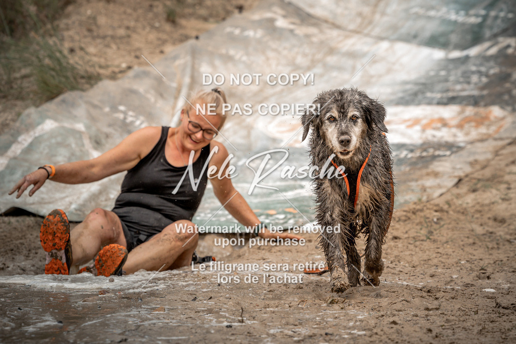 nelerasche_sa1230-1300_242 | nelerasche