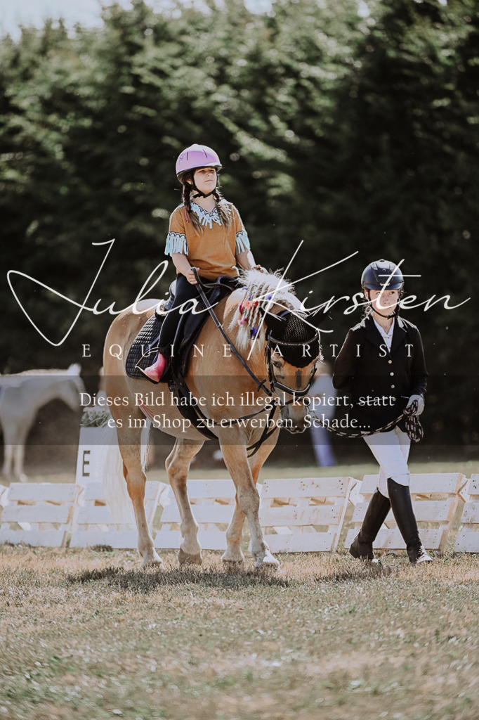 DSC_8830 | Pferde- und Turnierfotografie in Westsachsen. Pferdeportraits, Auftragszeichnungen und intuitive Kunst.
