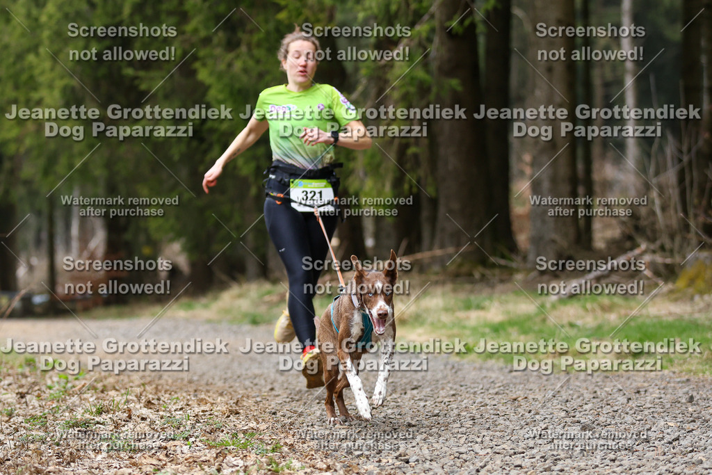 Dog Paparazzi - VCC26-445 | Dog Paparazzi Jeanette Grottendiek Fotografie & Videografie - Realisiert mit Pictrs.com