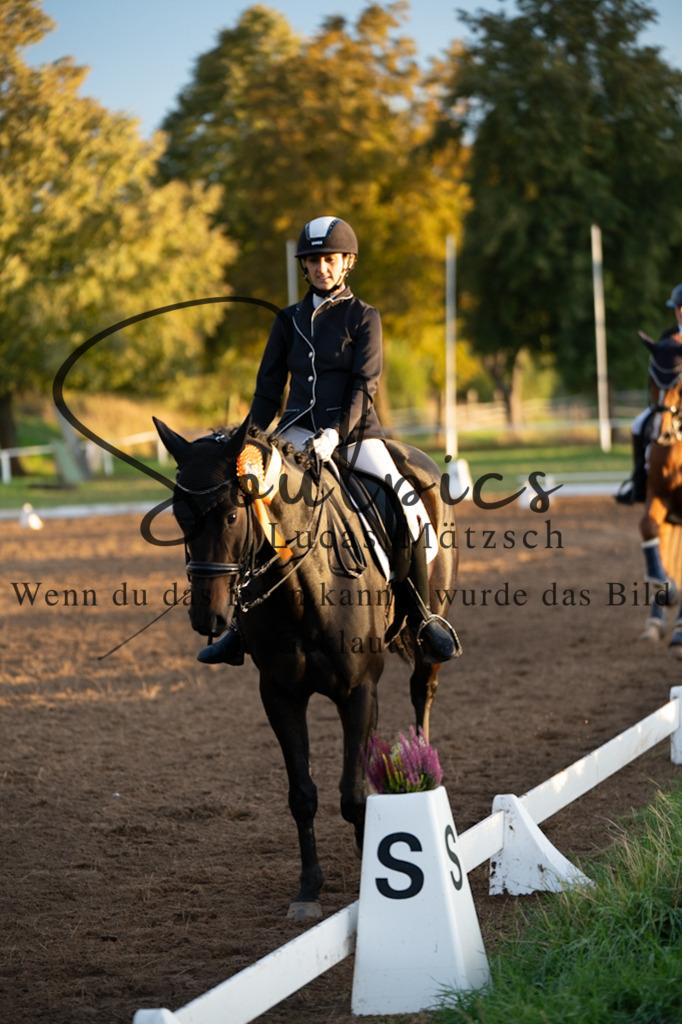 A7V06177 | Pferdefotograf