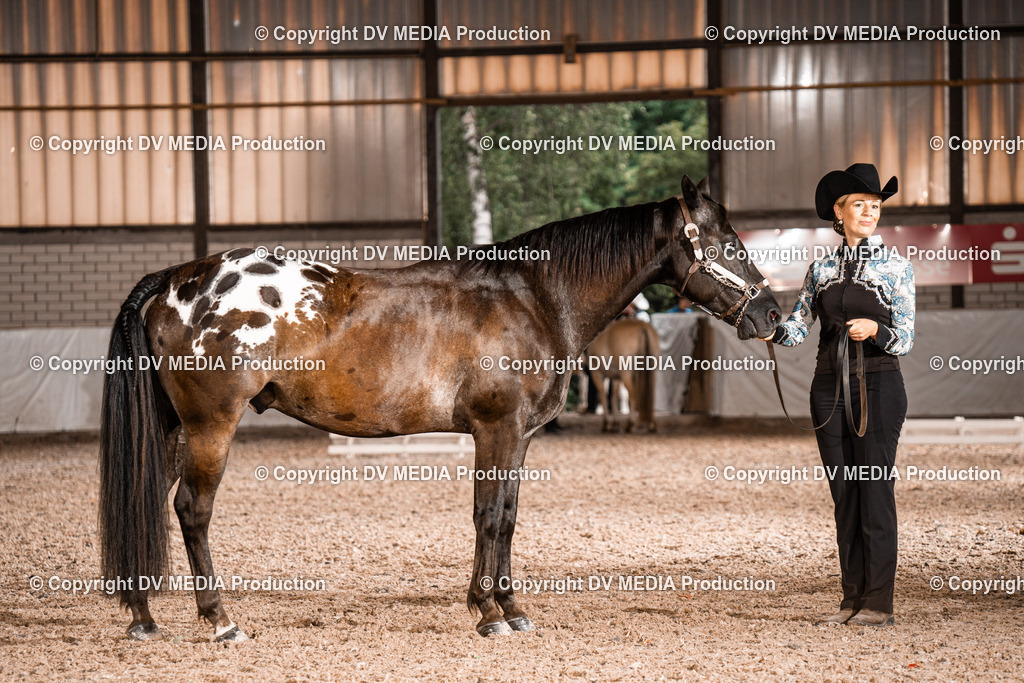 ZH200200 | dv-media-shop - Realisiert mit Pictrs.com