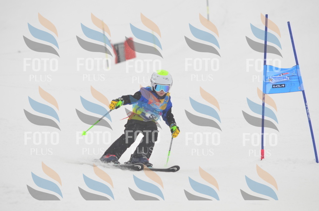 C1000 | holidayphoto