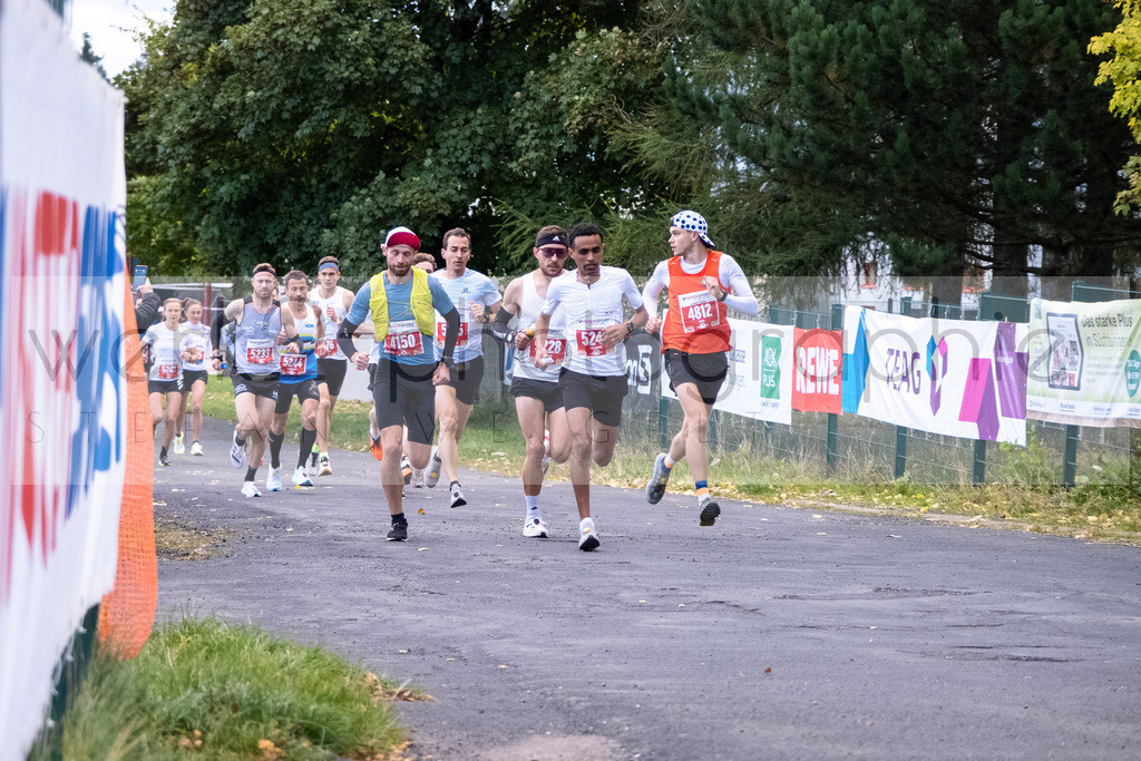 Rennsteiglauf 2021 | Marathon Neuhaus/Rwg. - Schmiedefeld
