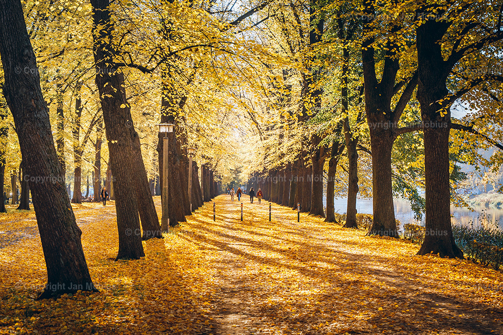 _DSC7492 | Leipzig Wandbilder Drucke Prints Leinwand Stadtmotive Leipzig Fotosdruck Kunstdrucke Bilder Leipzig Stadtansichten Acrylglasbilder Leipzig Wanddeko Fine Art Prints Wandbilder Büro Leipzig Bilder Praxis Zuhause Bilderdruck Poster Posterlounge Kunstdrucke - Realisiert mit Pictrs.com