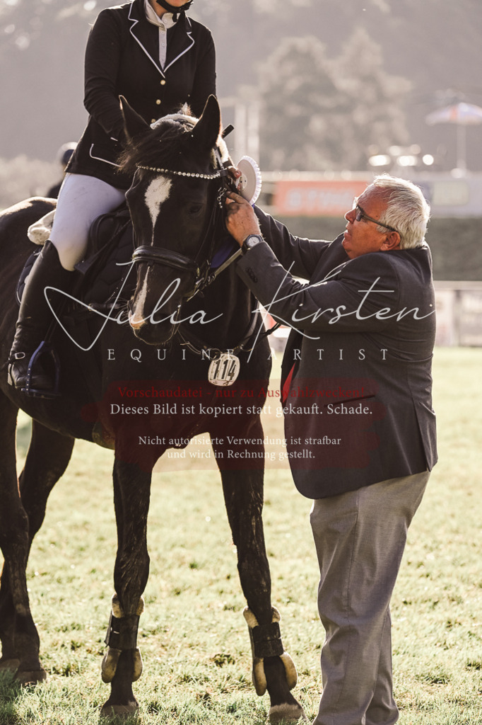 DSC_4558 | Pferde- und Turnierfotografie in Westsachsen. Pferdeportraits, Auftragszeichnungen und intuitive Kunst.