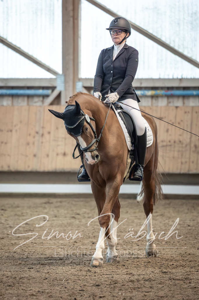 20251011-_3LI6050 | Tierfotografie Pferde, Hunde, Katzen, Haustiere.
Turnierfotografie Reitturniere, Reiten, Springreiten, Dressur in Hanau, dem Main-Kinzig-Kreis und dem Rhein-Main- Gebiet um Frankfurt