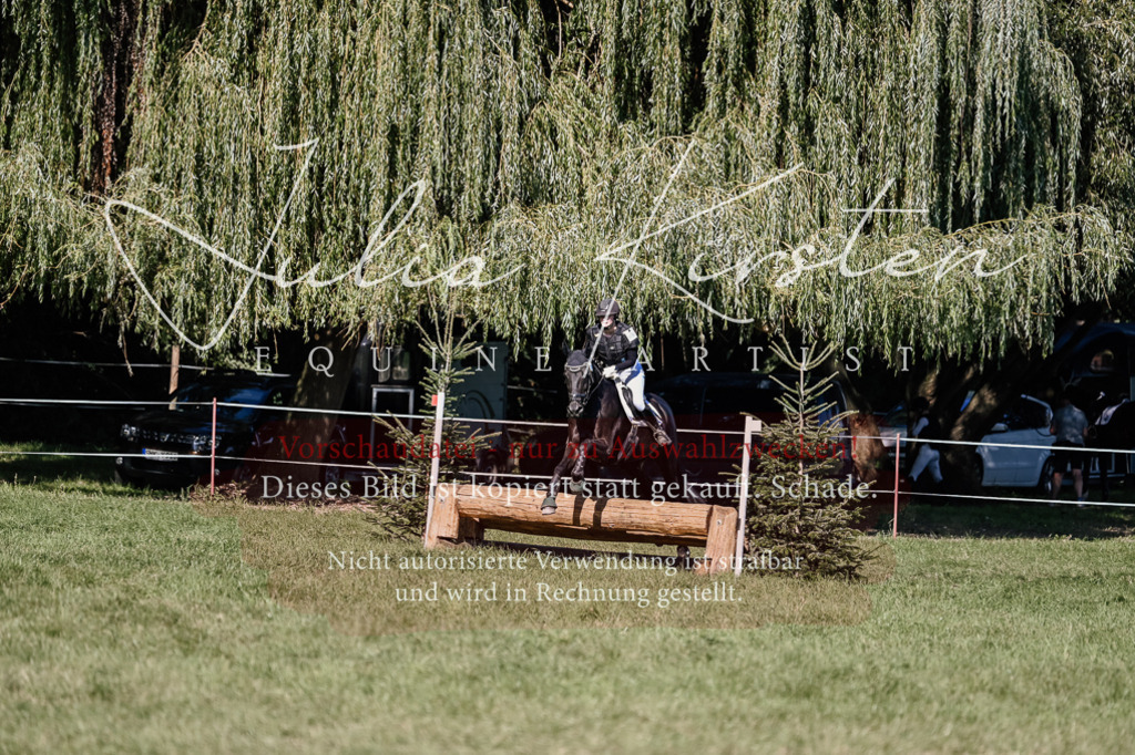 DSC_3515 | Pferde- und Turnierfotografie in Westsachsen. Pferdeportraits, Auftragszeichnungen und intuitive Kunst.