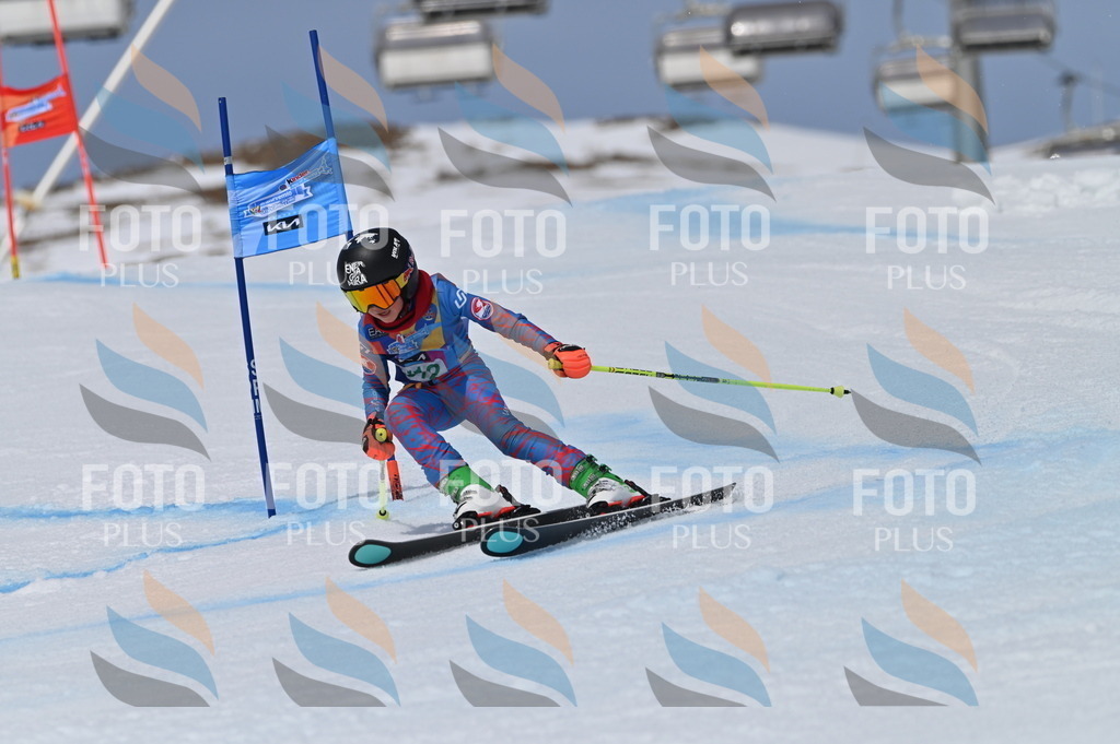 BGV_6187 | holidayphoto