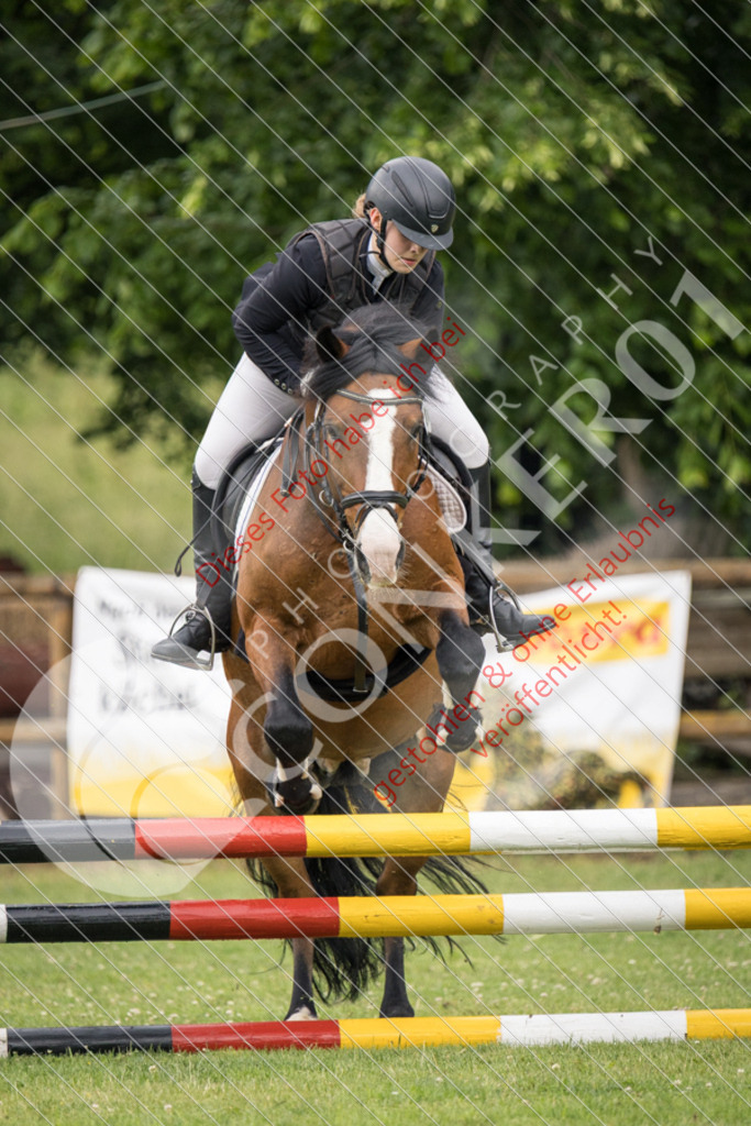 IMG_2323 | Sport-, Event- und Tierfotos in Profiqualität. Einfach auswählen, bestellen und herunterladen. Dein Moment – perfekt festgehalten.