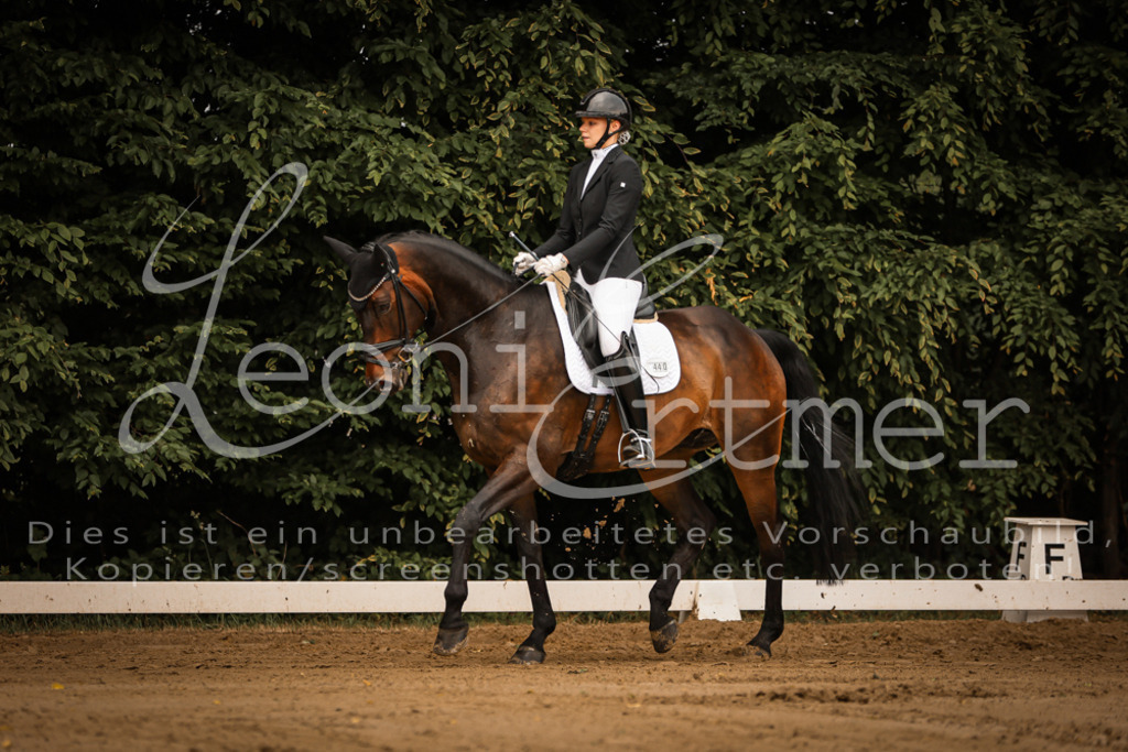 17.SoDrL00028 | Leoni Ertmer Photography - Realisiert mit Pictrs.com