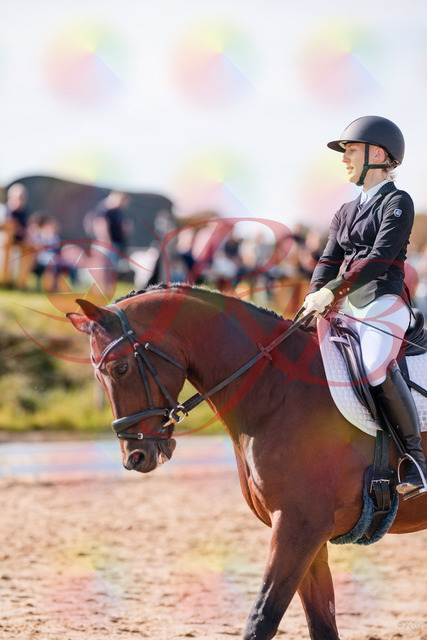 2026_10_03_Siefer-Hof_130827_Z81_60738214 | Professionelle Reitsport-, Turnier- und Eventfotografie von Robert Broda. Galerien mit ausgewählten und bearbeiteten Bildern direkt online ansehen und bestellen.