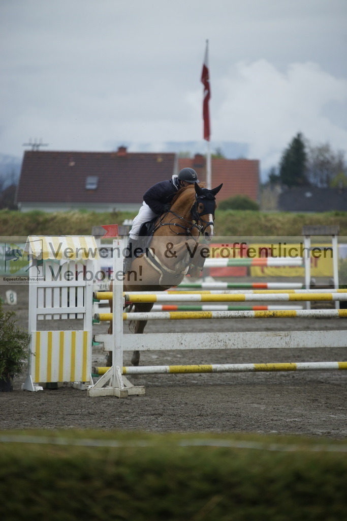 _DSC6380 | equestrian-live-com