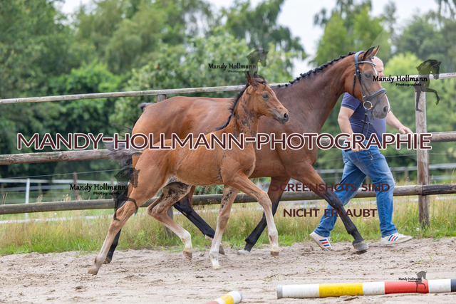 Hexenberg-220 | mandyhollmannphotographie
