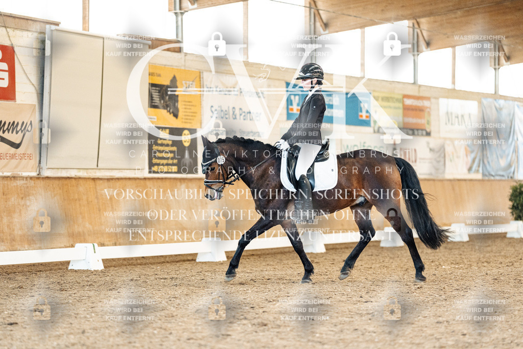 CK908120 | Turnierfotografie Pferdefotografie Trier Rheinland-Pfalz Pferdesport Reitsport Tierfotografie Sportfotografie Pferdevideo Pferdevideografie Equestrianvideography equestrianphotography  - Realisiert mit Pictrs.com