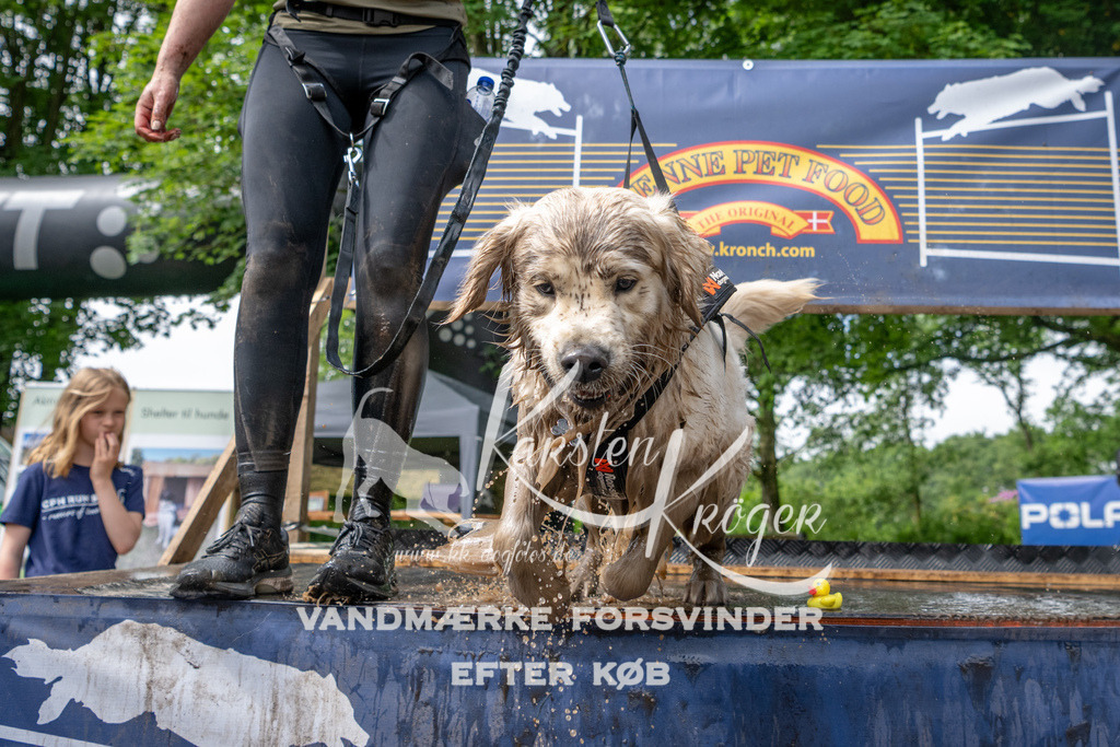 1018_ZZ90585-2 | kk-dogfotos