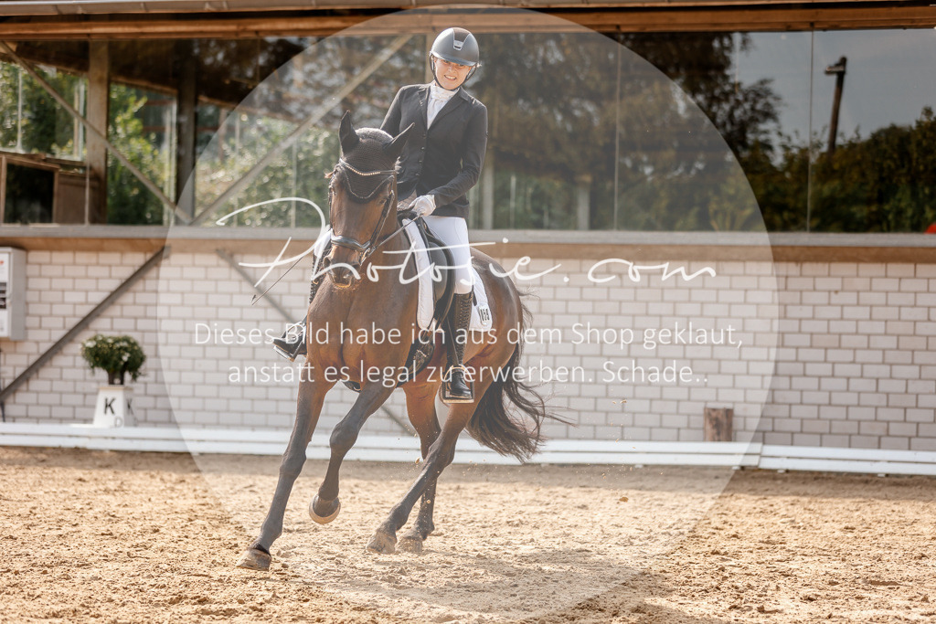 3I6A4218 | Stimmungsvolle Portraits und Reitsportfotografie im Ruhrgebiet und im Münsterland.

Pferdefotografie, Hundefotografie, Tierfotografie, Reportagen, Portraits von Tier und Mensch, Turnierfotografie in Bochum, Recklinghausen, Marl, Haltern am See, Dülmen.. - Realisiert mit Pictrs.com