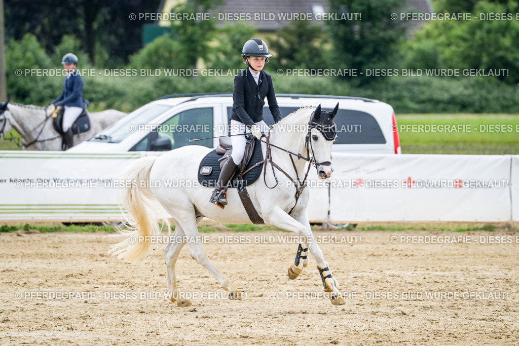 DSC05534 | Pferdegrafie