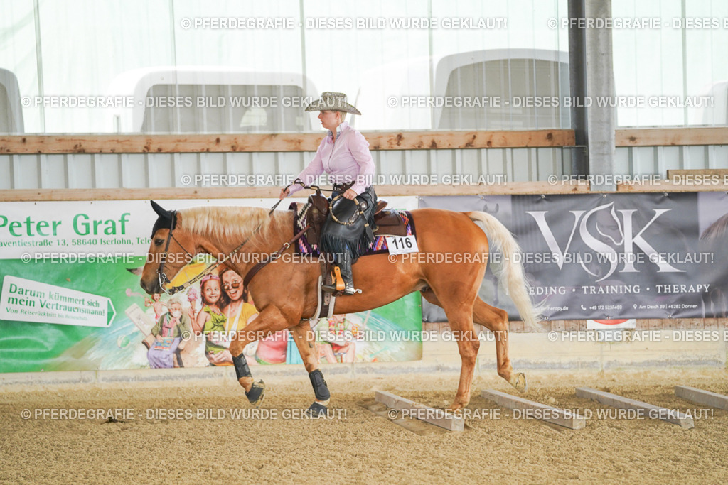 DSC02884 | Pferdegrafie