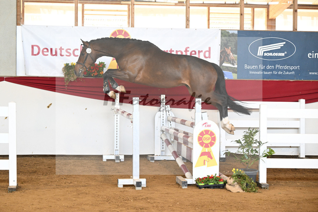 Kat-Nr. 24 Chaccalouu v. Conthalou_Rother-Link_16251041 | hf-fotografie - Realisiert mit Pictrs.com
