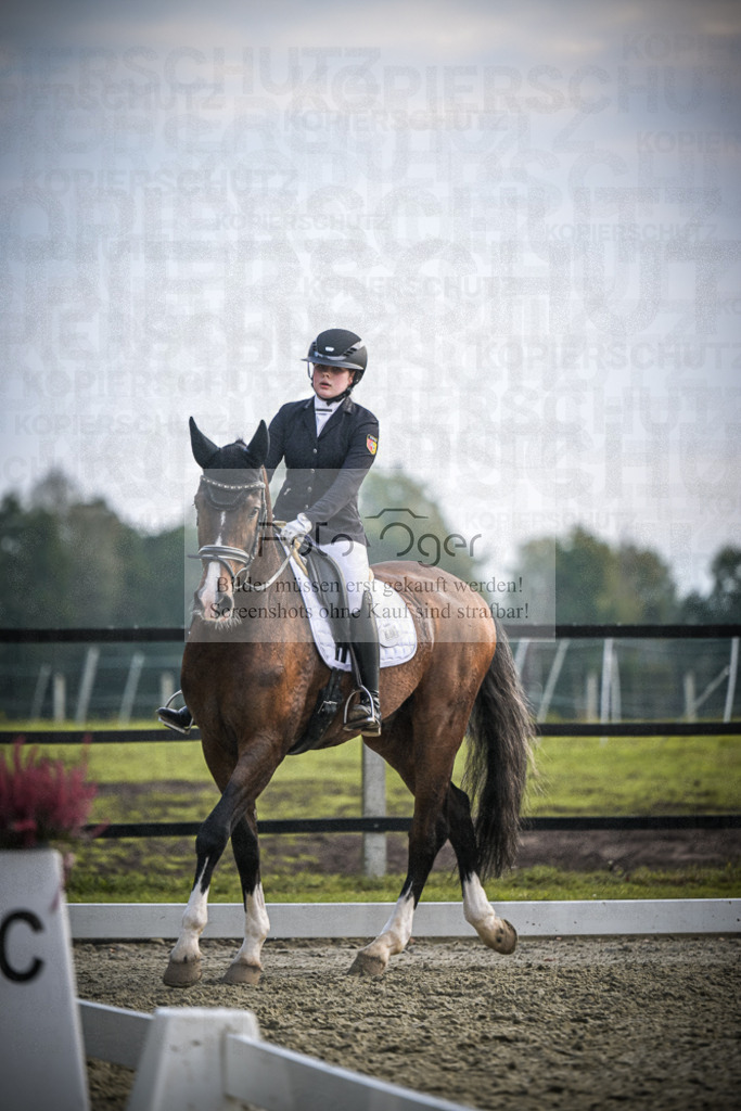 DOS_3798 | Entdecke hochwertige Reitturnierfotos von Foto Oger. Professionell, emotional und authentisch – jetzt Lieblingsmomente im Shop bestellen.Deutschlandweite Turnierfotografie. - Realisiert mit Pictrs.com