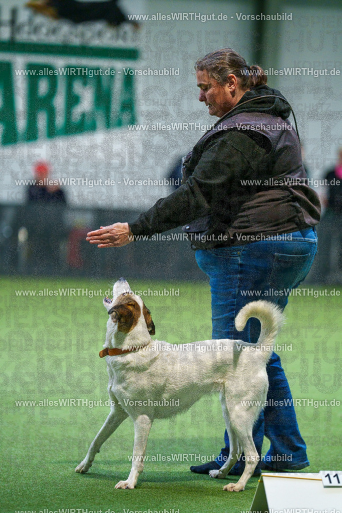 7R503323 | Professionelle Tierfotografie in Mönchengladbach von Daniel Wirth (allesWIRTHgut). Liebevolle & natürliche Bilder von Hunden & Katzen für unvergessliche Erinnerungen.