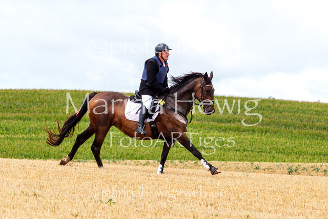 Jagd Knoop 26_MarinaHewigMCH02339 | Fotografie, FotoArt, PferdesportArt, Pferdesportfotografie, Landschaftsfotografie, Reisefotografie, Reise, Pferde - Realisiert mit Pictrs.com