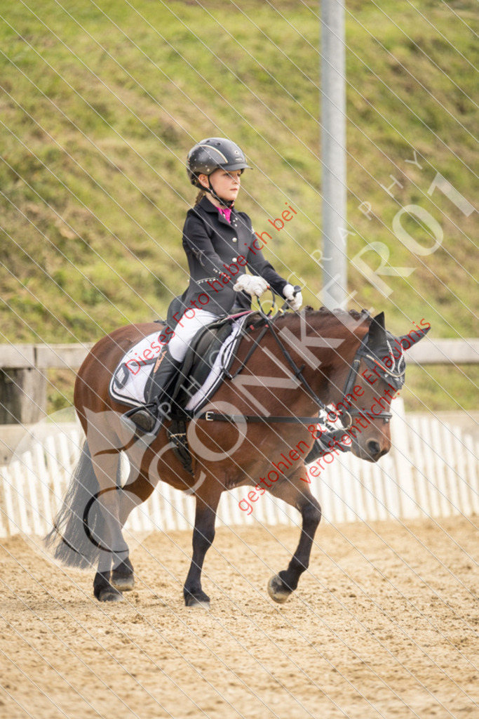 CON_0517 | Sport-, Event- und Tierfotos in Profiqualität. Einfach auswählen, bestellen und herunterladen. Dein Moment – perfekt festgehalten.