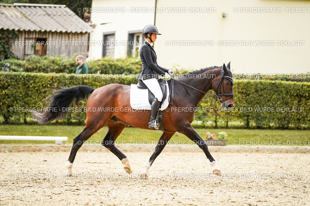 DSC09853 | Pferdegrafie