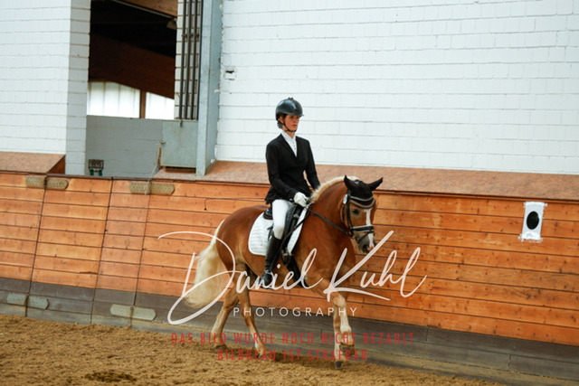 _62_6370 | Turniersportfotografie; Pferdefotografie; Dressurfotografie