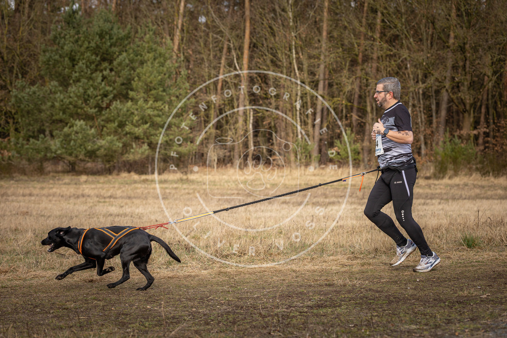 DV3A4051 | Hundefotografie, Tierfotograf, Pfotenfotografie, Fotoshooting Hund, Hunde Portrait, Hundesport, Hundeportraits, Heideshooting, Hunde, Sportfotograf, Hundefotograf, Turnierhundsport, THS,  - Realisiert mit Pictrs.com