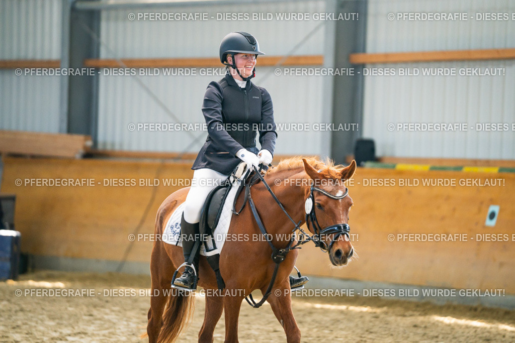 DSC01525 | Pferdegrafie