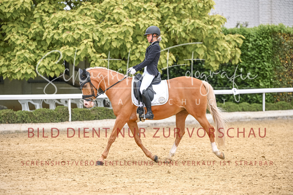 Schugtsche-Aluta25-41.Amat-Dressurprf.A_-549 | Schugtsche Fotografie - Realisiert mit Pictrs.com