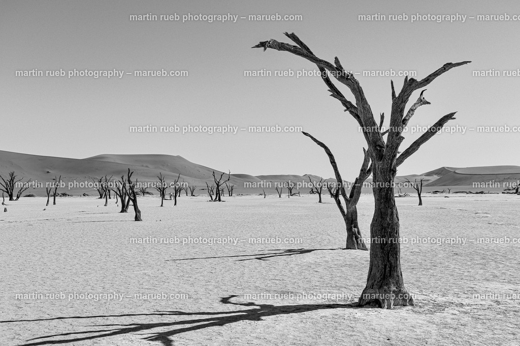 Deadvlei‘s trees in gray | Deadvlei at Namib desert - Realisiert mit Pictrs.com
