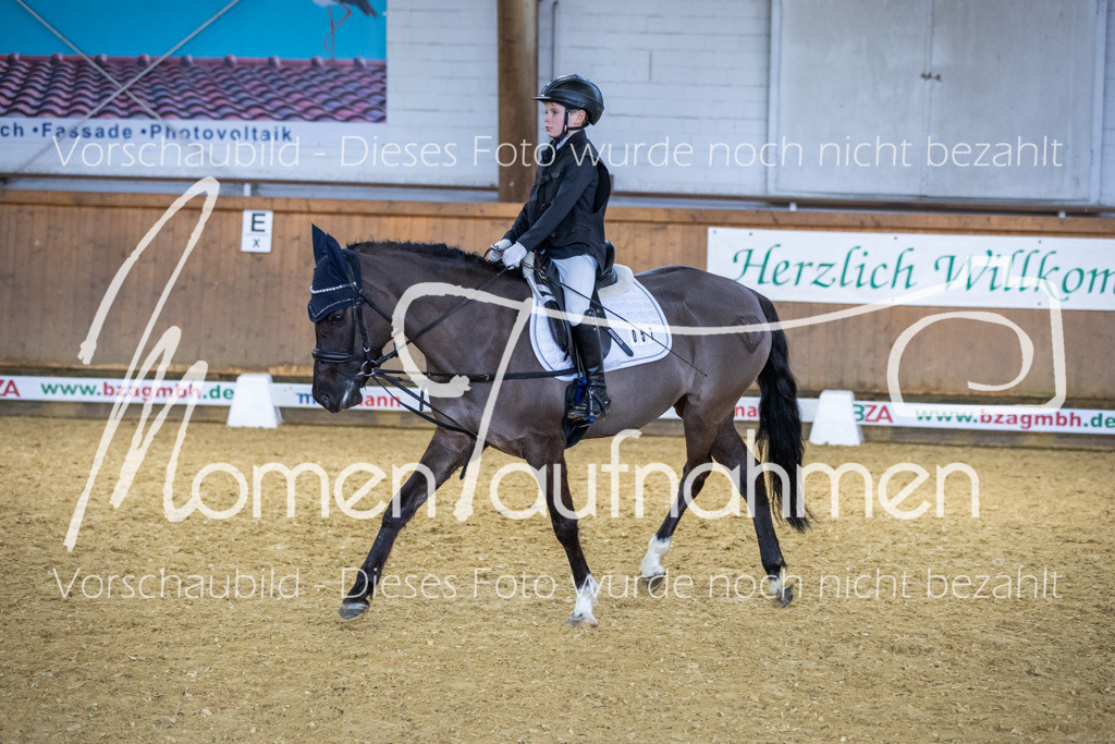 _M2A1959 | MomenTaufnahmen Pferdesportfotos