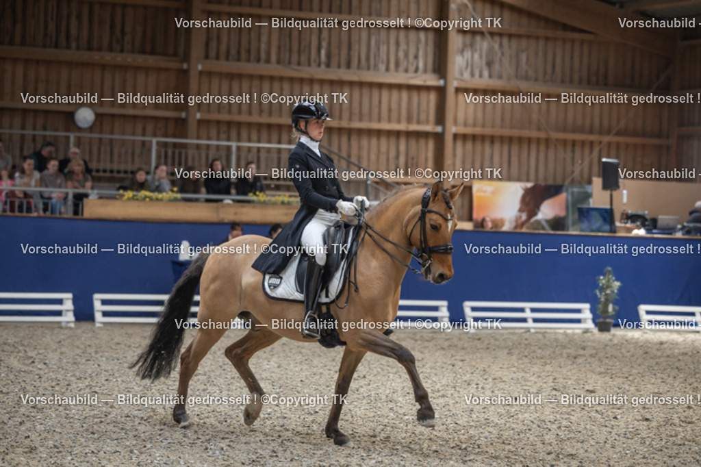 _D5A0225 | Emotionale Pferde- & People-Fotografie rund um Heidelberg, Leimen & Umgebung. Natürliche Fotos von Pferd, Mensch & Familie. Jetzt Termin sichern!